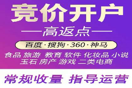 深度解析：竞价推广公司经典案例